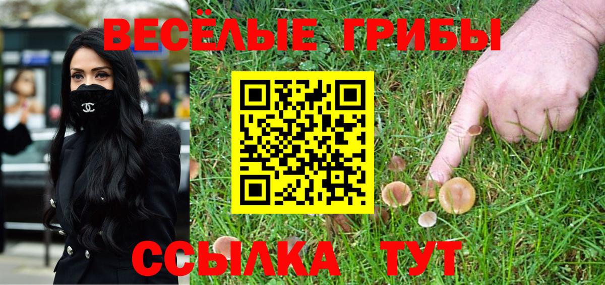 Янаул  где продают наркотики  Вход с VPN  Галлюциногенные грибы мухоморы 
